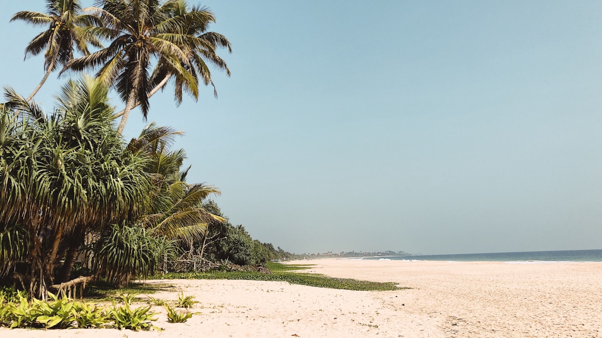 Entdecke das Paradies: Tanzania Sansibar